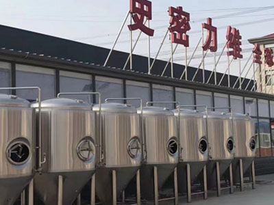 江边乡精酿啤酒设备厂—市场规模与跨界新需求
